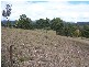 Kew NSW 2439