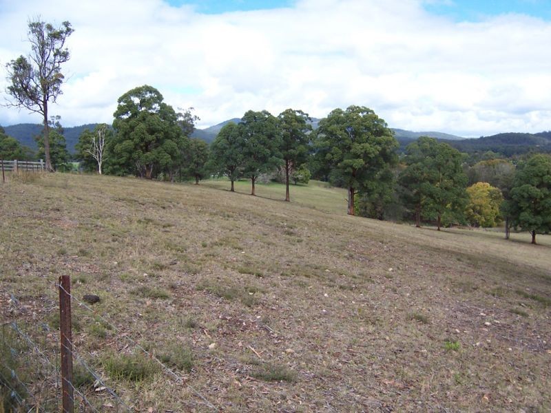 Kew NSW 2439