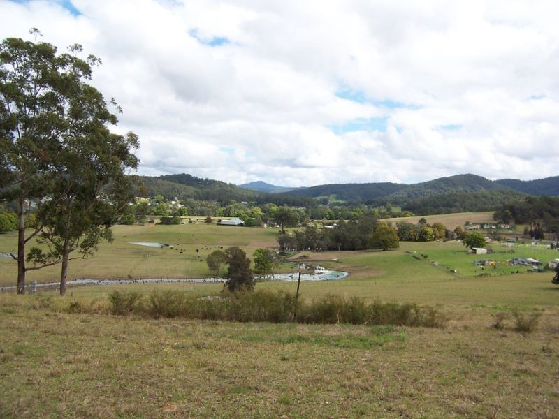 Kew NSW 2439