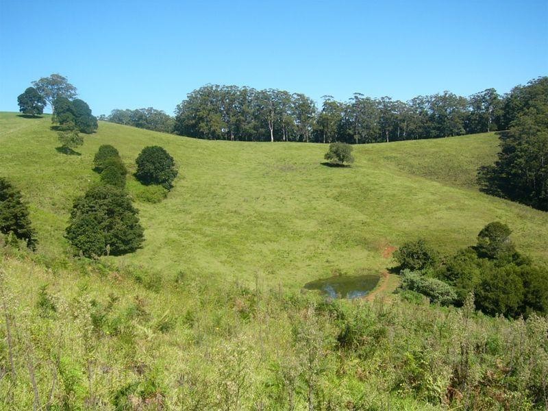Comboyne NSW 2429