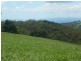 Comboyne NSW 2429
