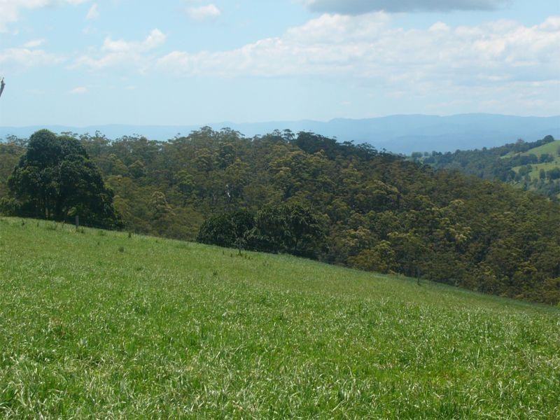 Comboyne NSW 2429