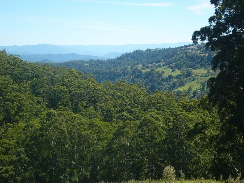 Comboyne NSW 2429