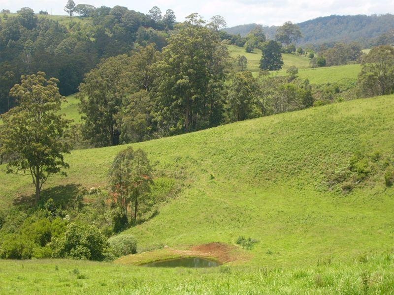 Comboyne NSW 2429