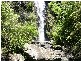 Comboyne NSW 2429