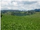 Comboyne NSW 2429