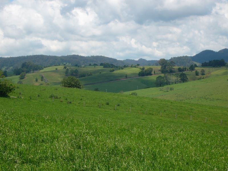 Comboyne NSW 2429