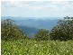 Comboyne NSW 2429