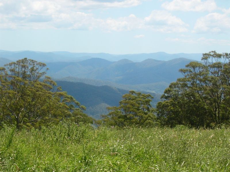 Comboyne NSW 2429