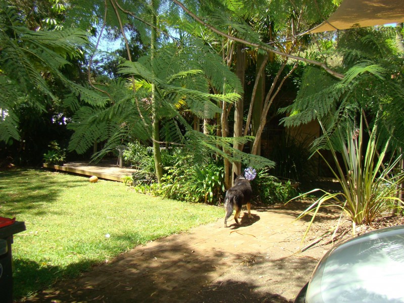 8 Kalpara Close, Bonny Hills NSW 2445