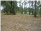 Kew NSW 2439