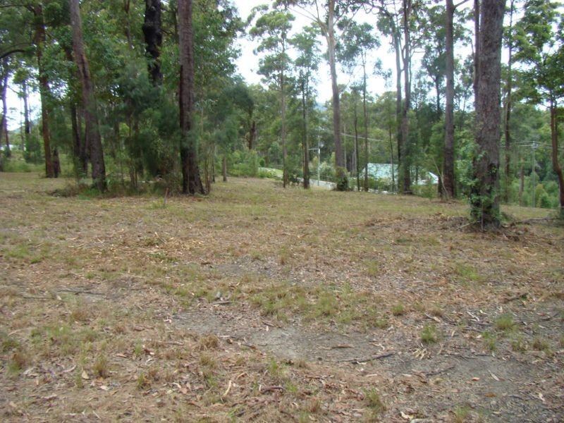 Kew NSW 2439