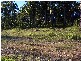 Laurieton NSW 2443