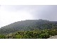 Laurieton NSW 2443