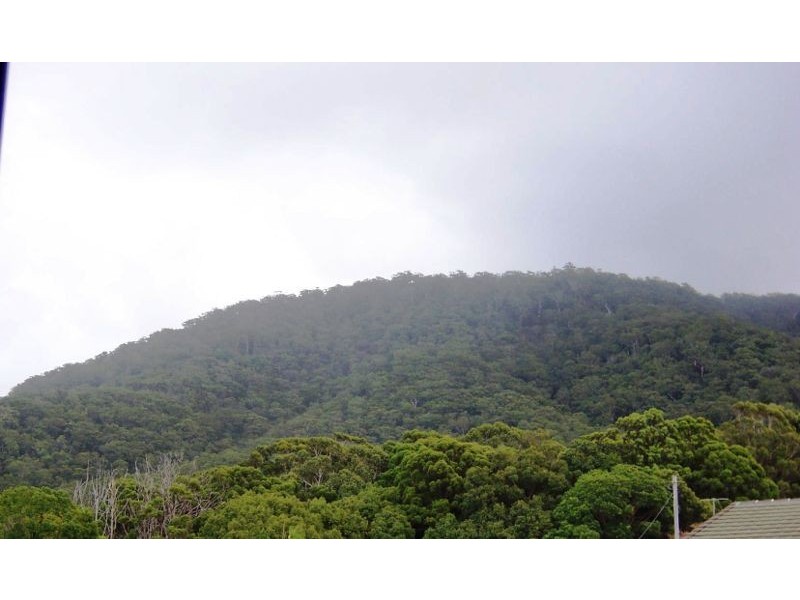 Laurieton NSW 2443