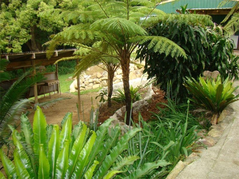 62 Lord Street, Laurieton NSW 2443