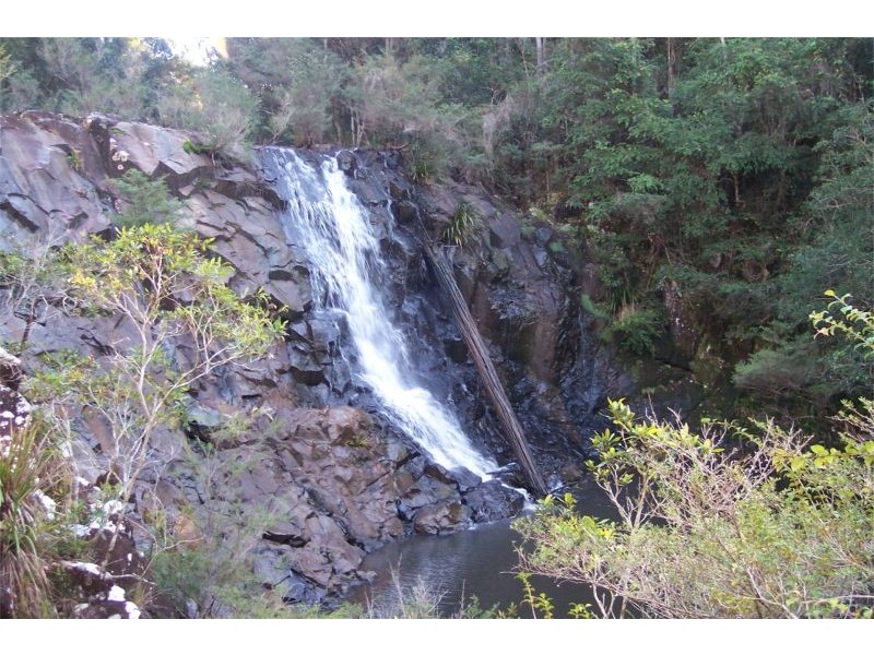 Lorne NSW 2439
