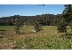 Lorne NSW 2439