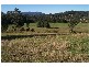Lorne NSW 2439