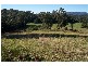 Lorne NSW 2439