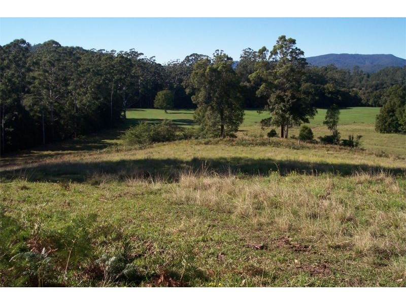 Lorne NSW 2439
