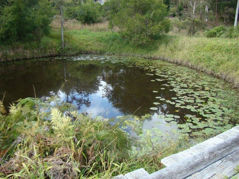 Kendall NSW 2439