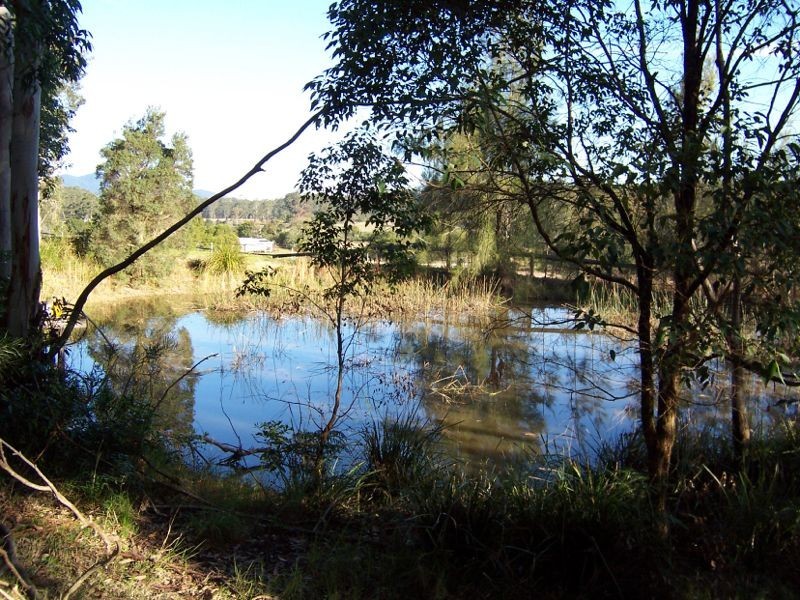 Herons Creek NSW 2443