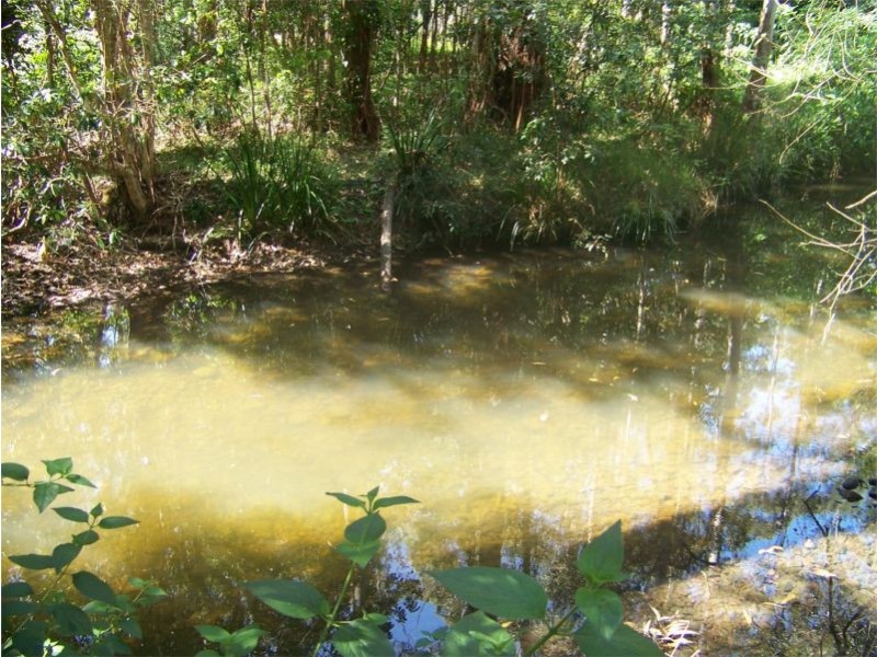 Johns River NSW 2443