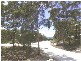 Dunbogan NSW 2443