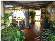 Dunbogan NSW 2443