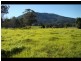 159 Stewars River Road, Johns River NSW 2443