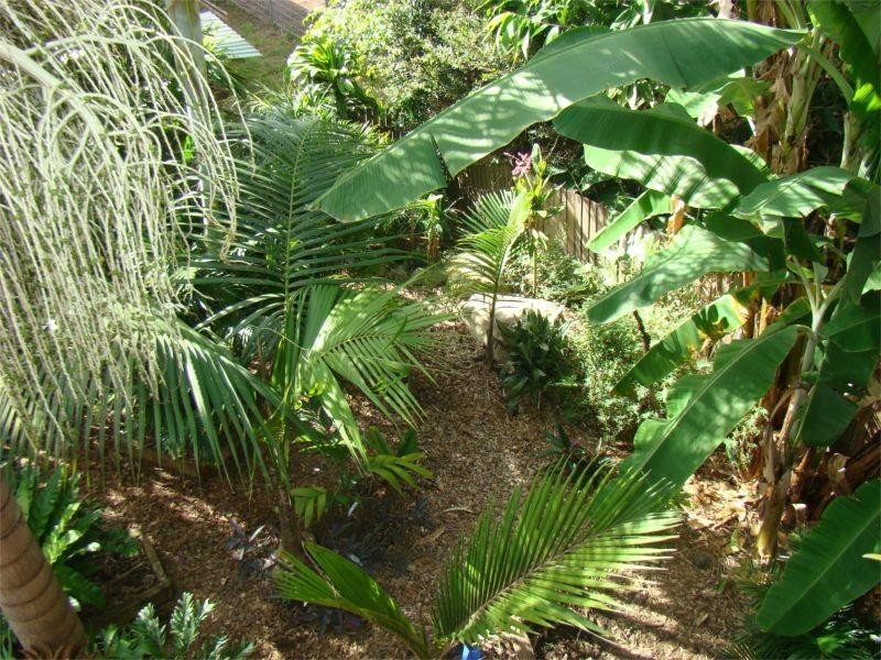 2 Third Avenue, Bonny Hills NSW 2445