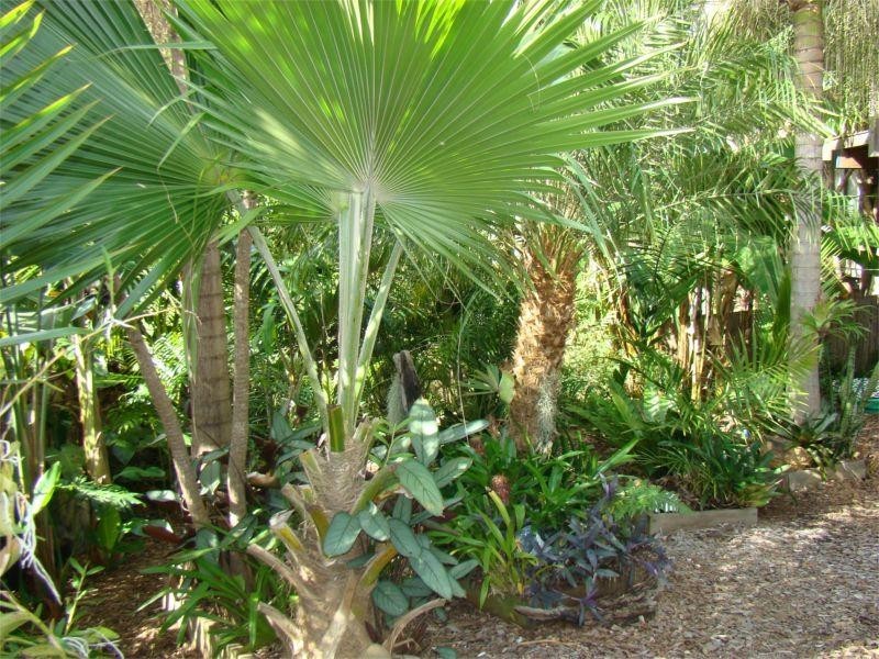 2 Third Avenue, Bonny Hills NSW 2445