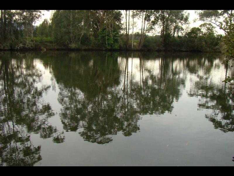 221 Wharf Road, Johns River NSW 2443