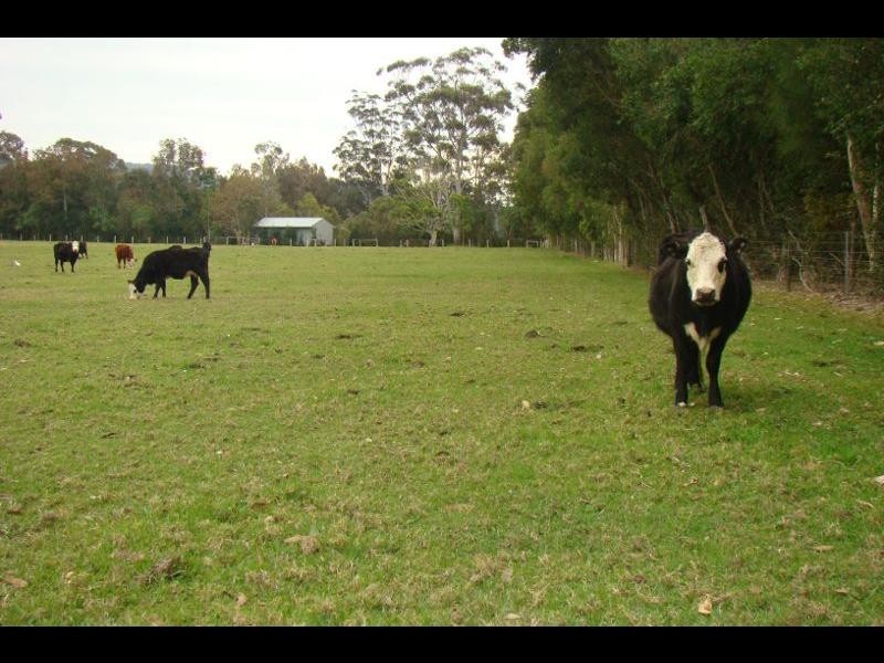 221 Wharf Road, Johns River NSW 2443