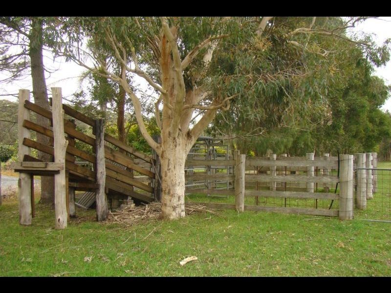 221 Wharf Road, Johns River NSW 2443