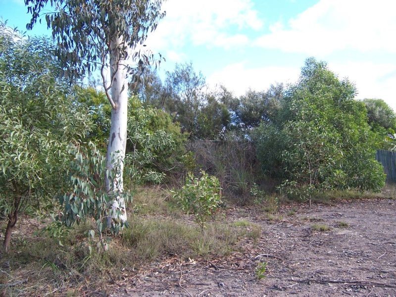 Little Mountain QLD 4551