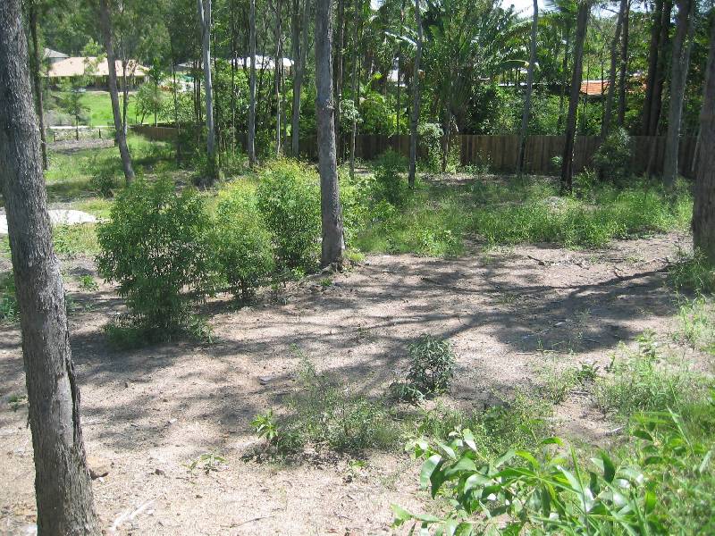 Caloundra West QLD 4551