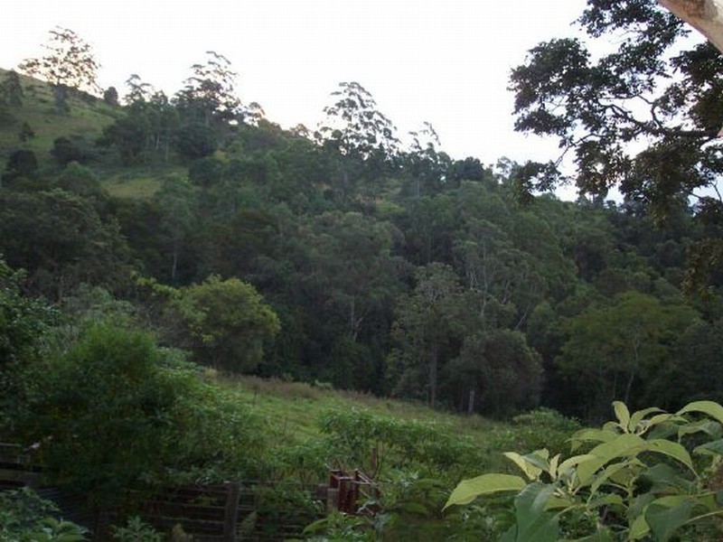 200 Days Road, Belbora NSW 2422