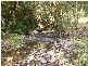Gloucester NSW 2422