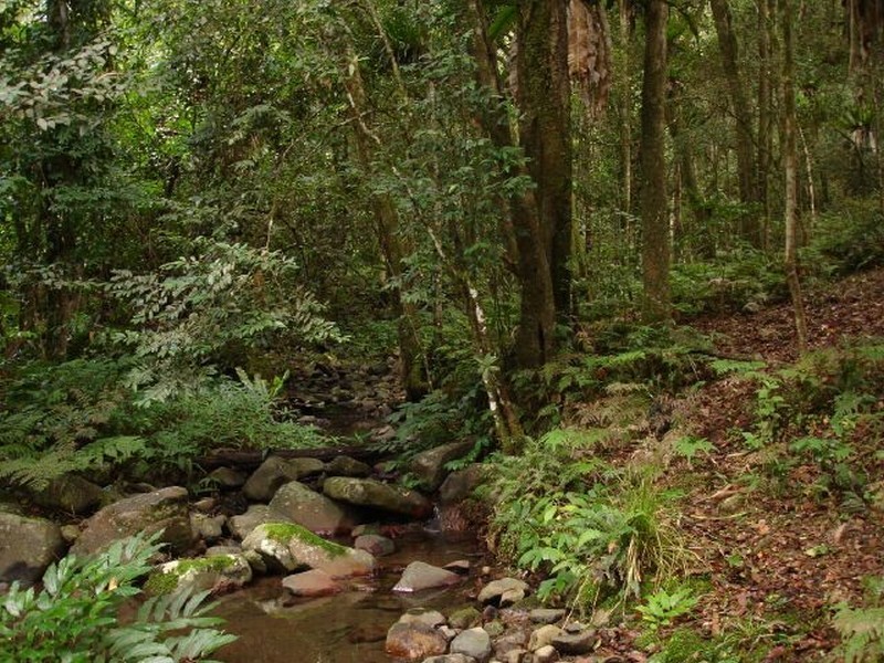 Gloucester NSW 2422