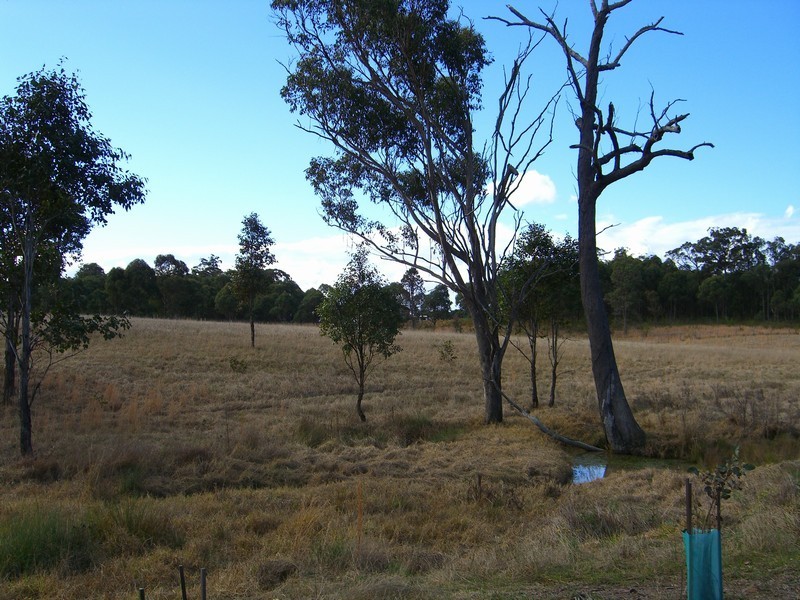 25 Moonlight Circuit, Gloucester NSW 2422