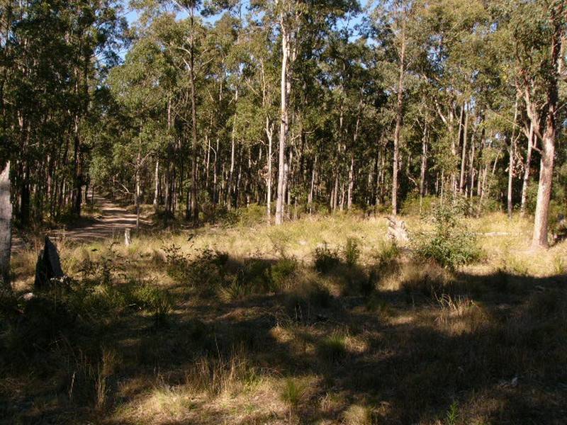0 Spring Creek Road, Wards River NSW 2422