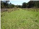 Lot 1 321 Spring Creek Road, Wards River NSW 2422