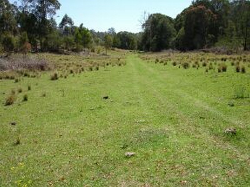 Lot 1 321 Spring Creek Road, Wards River NSW 2422