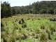 Lot 1 321 Spring Creek Road, Wards River NSW 2422