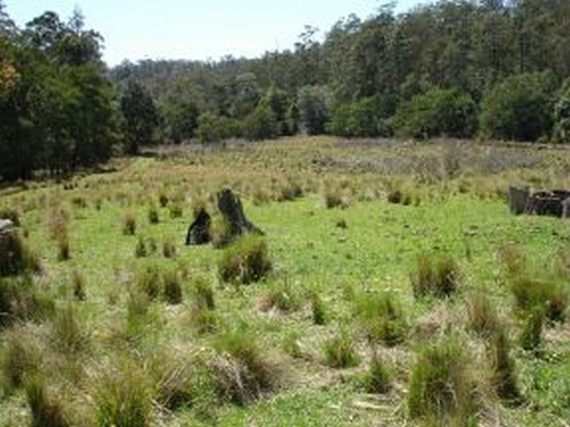 Lot 1 321 Spring Creek Road, Wards River NSW 2422