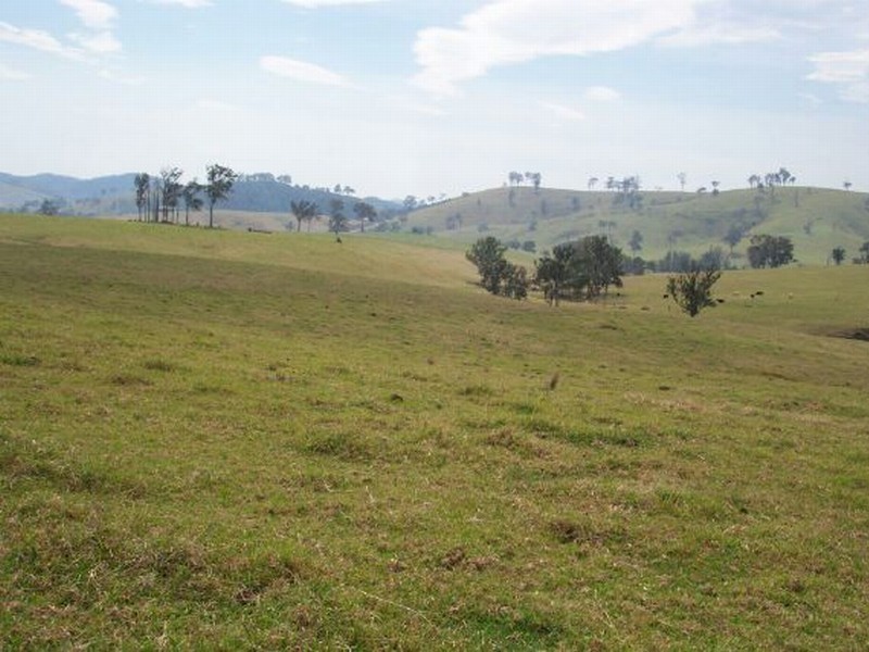 Lot 31 Beatties Island Road, Gloucester NSW 2422