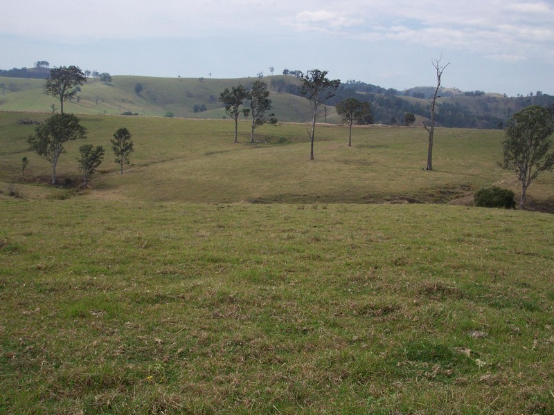 Lot 31 Beatties Island Road, Gloucester NSW 2422