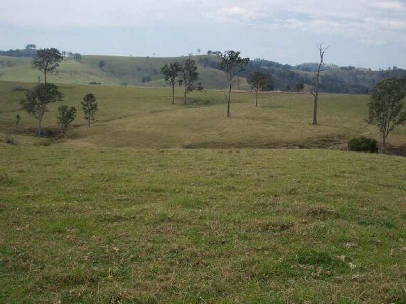 Lot 31 Beatties Island Road, Gloucester NSW 2422